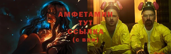 хмурый Абаза