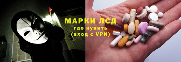 хмурый Абаза