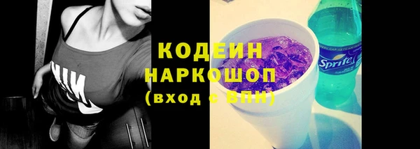 хмурый Абаза