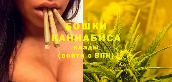 стафф Абинск