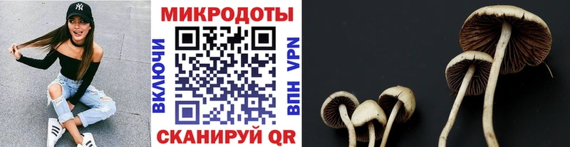 Псилоцибиновые грибы мицелий  Пудож 